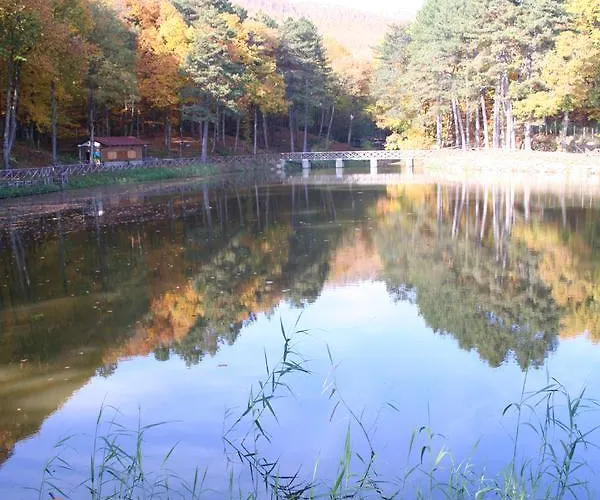 Ristorante Giardino ホテル